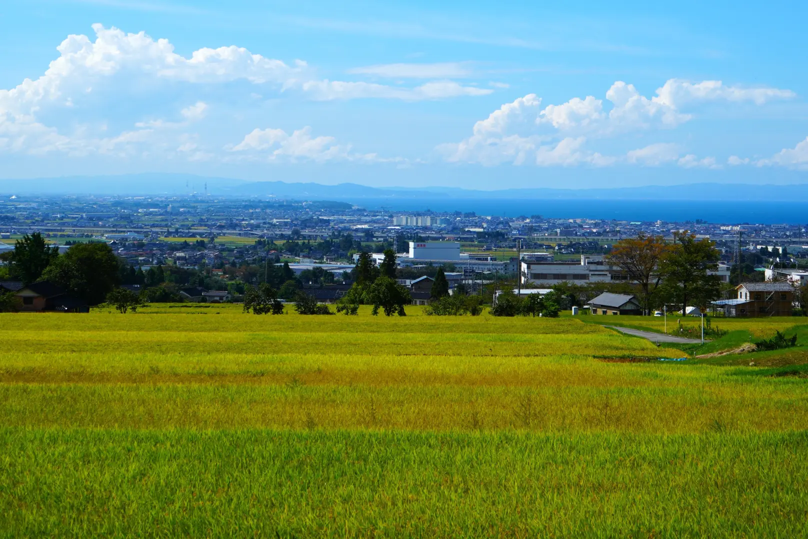 【車窓からの眺め】高台からの田園風景-0