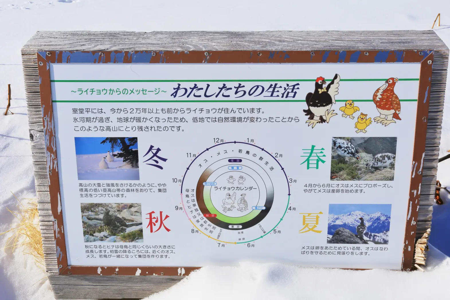 3．室堂平周辺散策-9