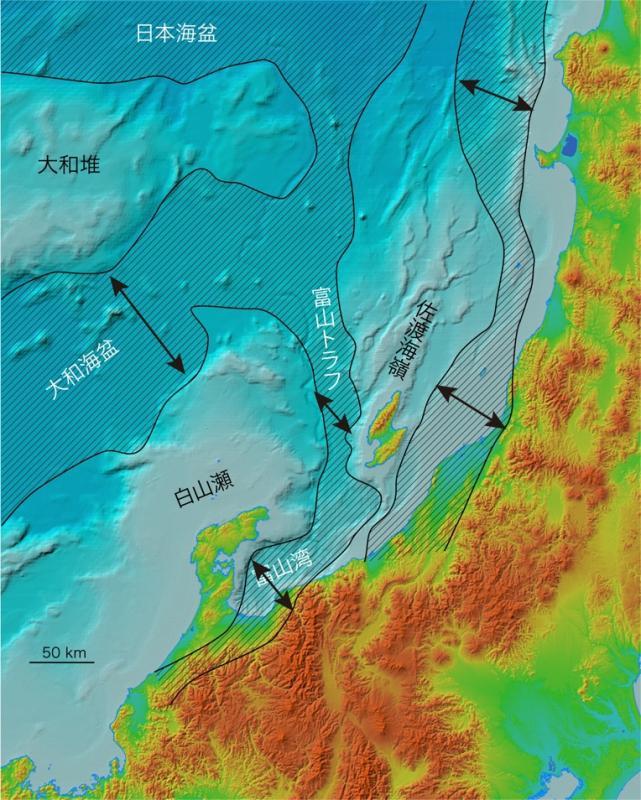 日本海の構造が生み出した“自然の定置網”富山湾-0