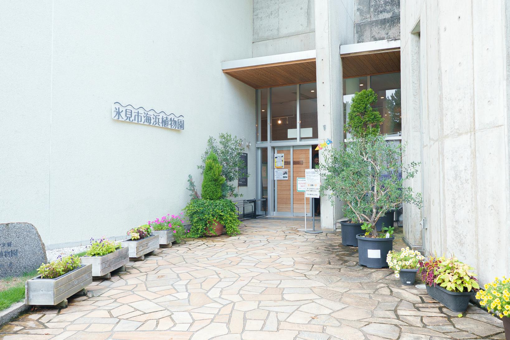 「seaside cafe ソラトキ」-0