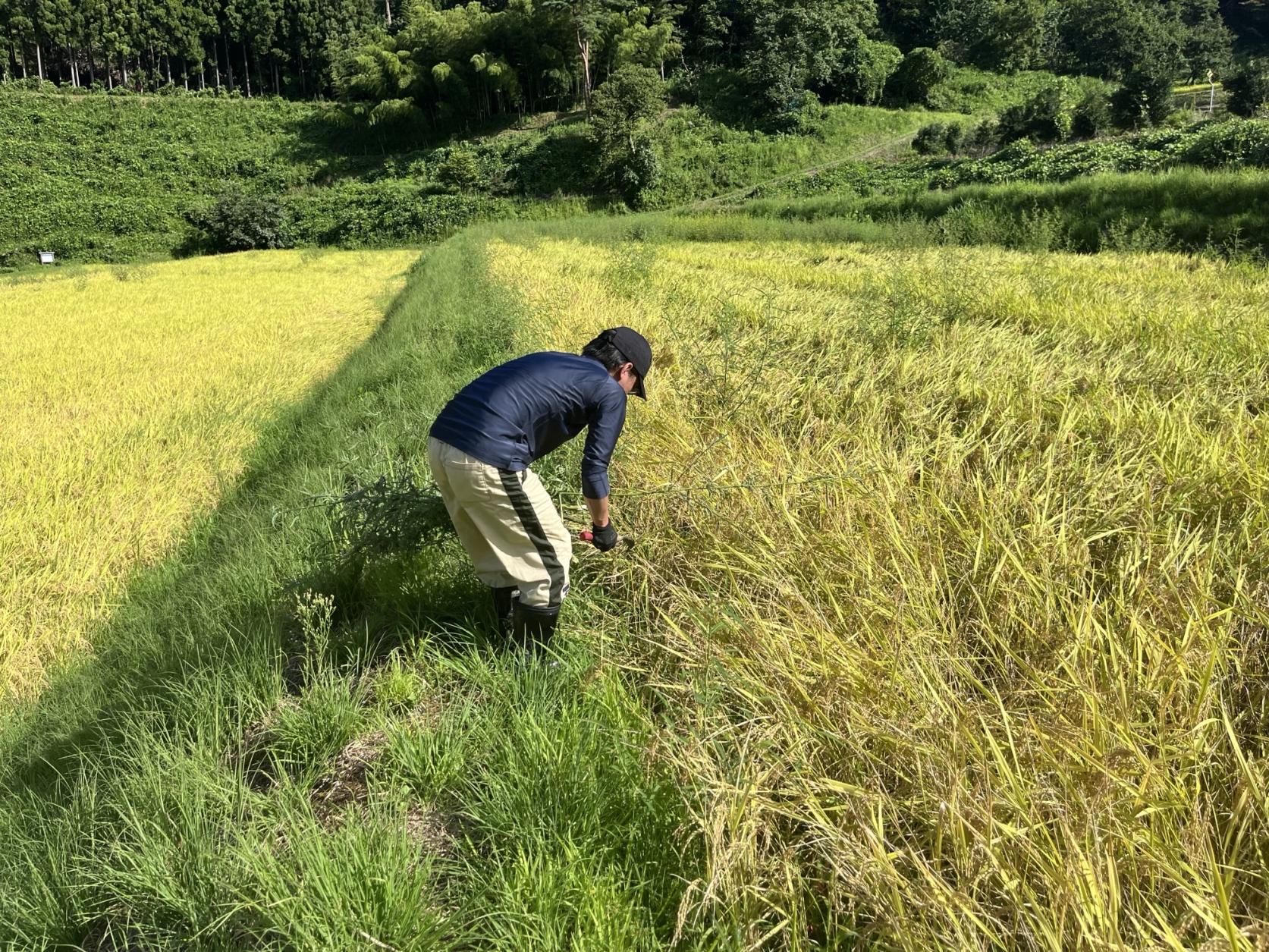 農業も、まちのお仕事も、地域のいろんな体験をちょっとずつ-0