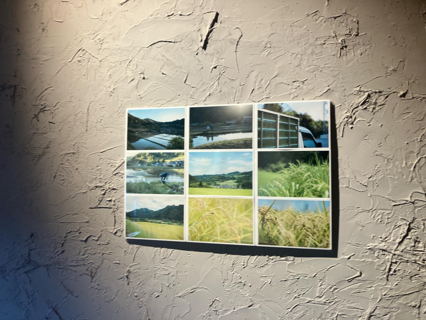 魚津が第２のふるさとに-0