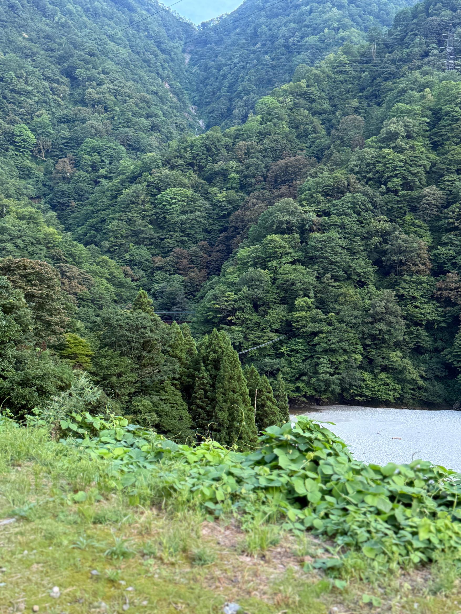 360度自然を感じるリアル・アトラクション　トロッコ電車-2