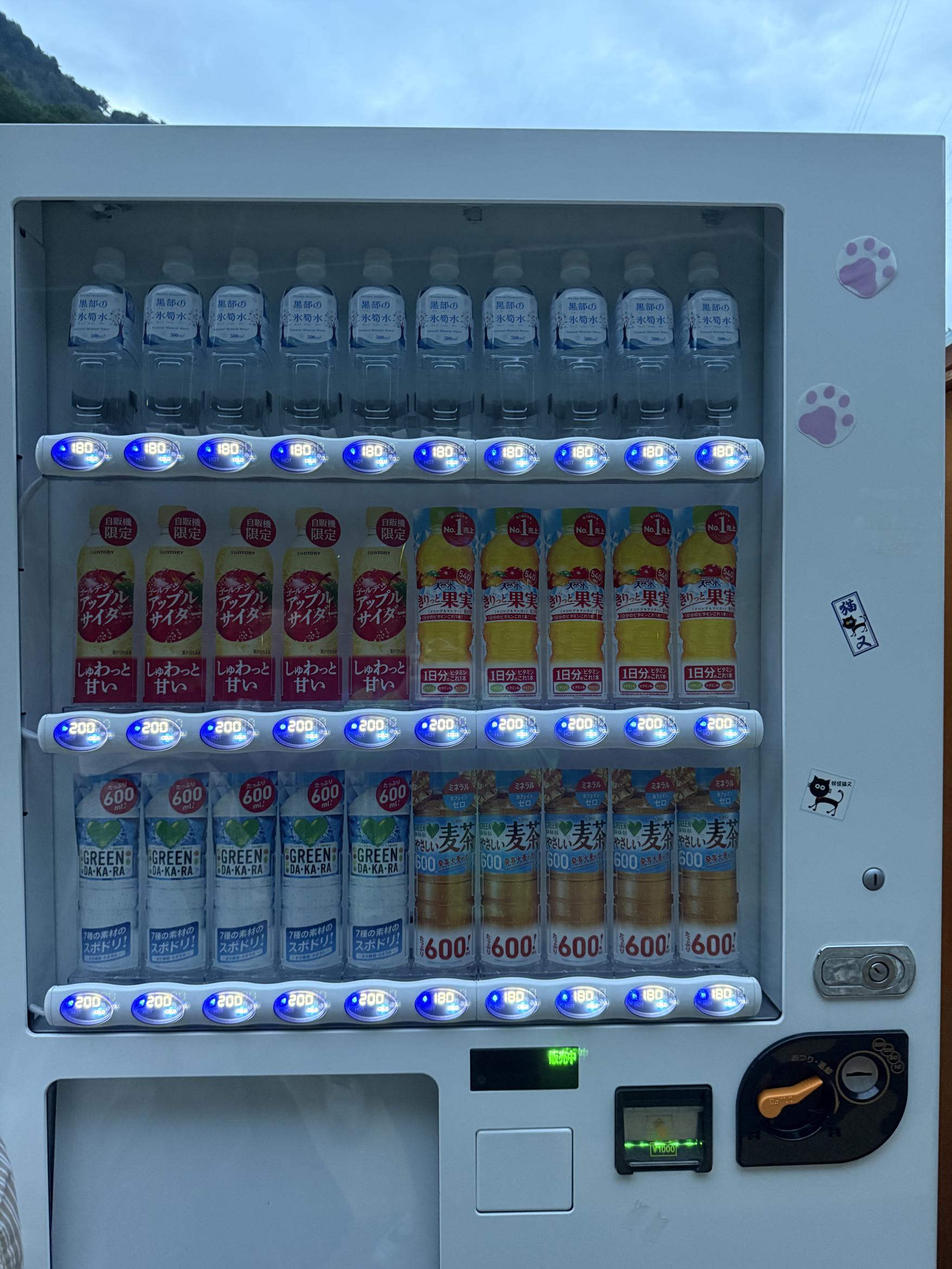 行程の記録　ー猫又駅での幻想的なひとときー-3