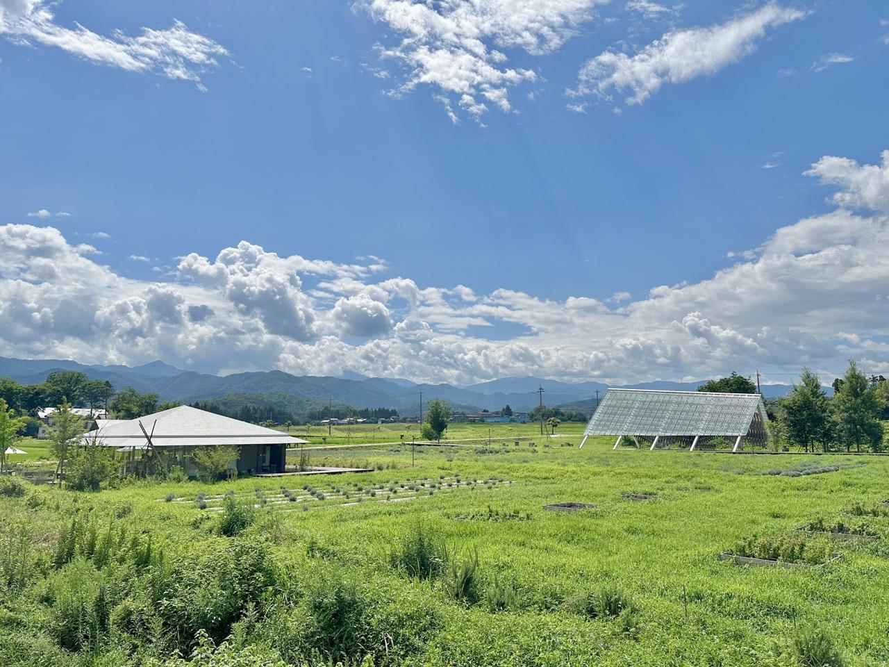 自然に溶け込むサウナホテル「The Hive」-5