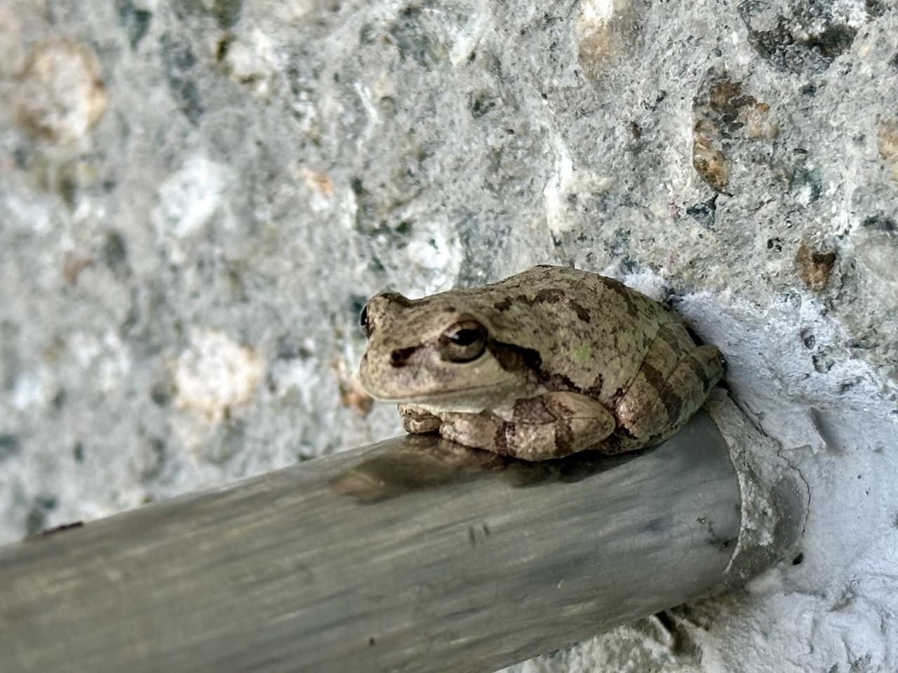 自然に溶け込むサウナホテル「The Hive」-6