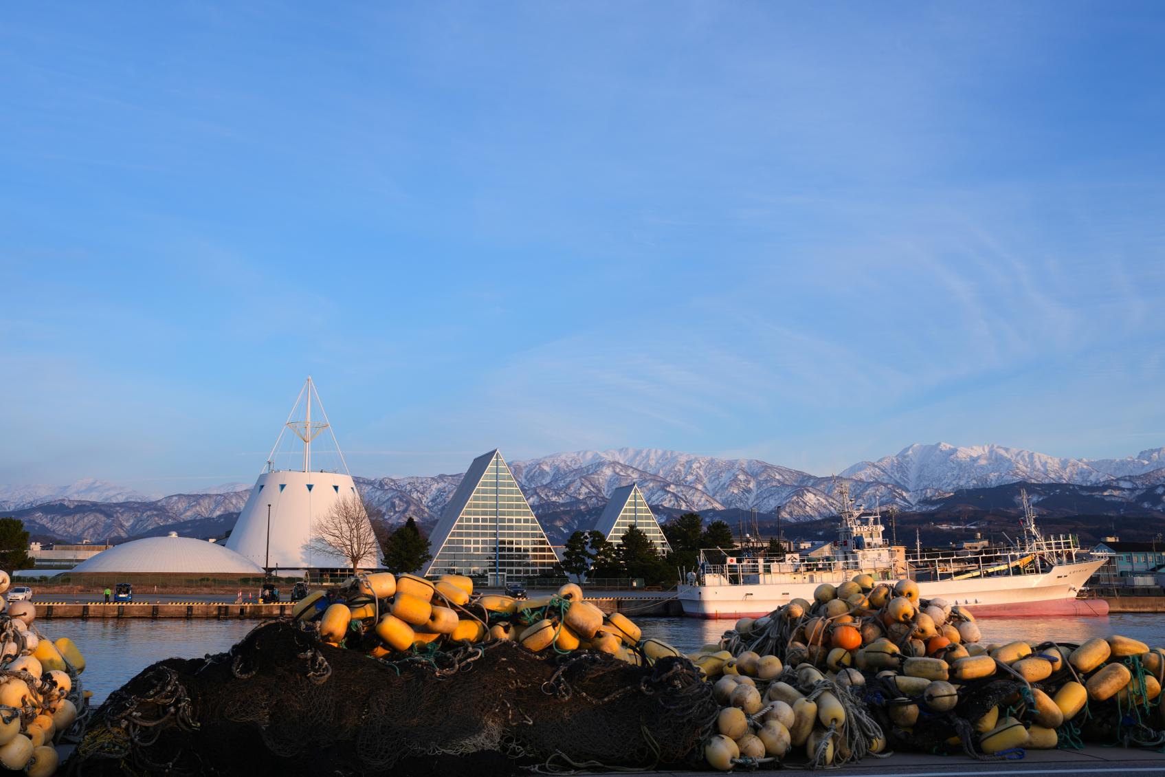 「魚津埋没林博物館」とは？-0