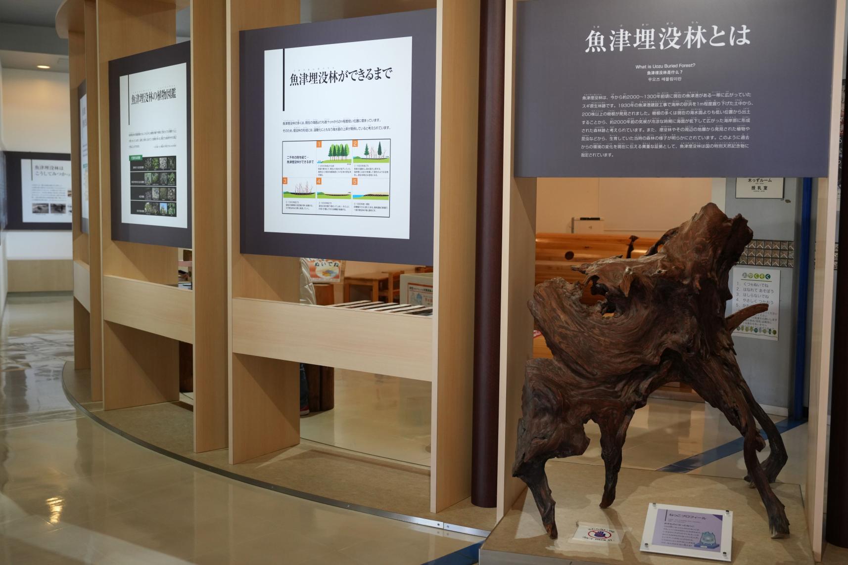 次に、1階の「テーマ館」を見学！-0