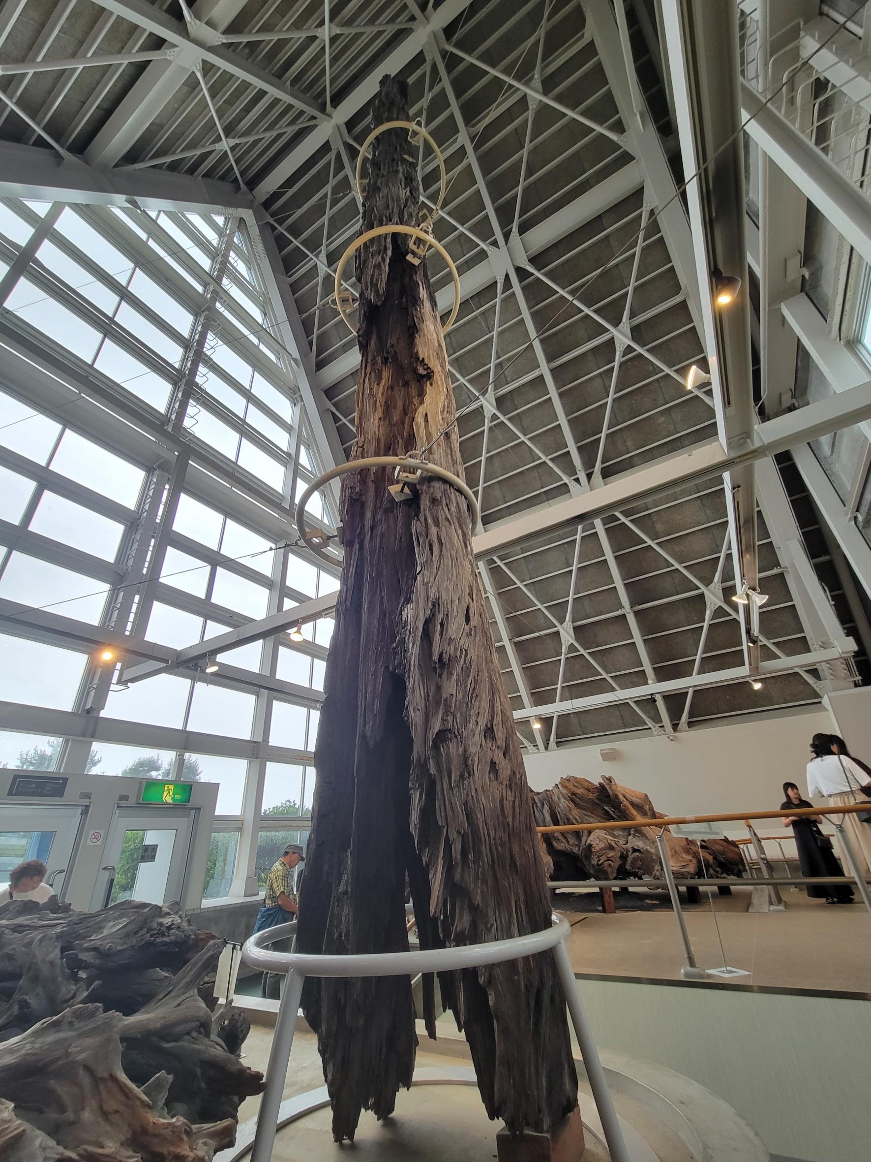 見て、触れる「乾燥展示館」！-0