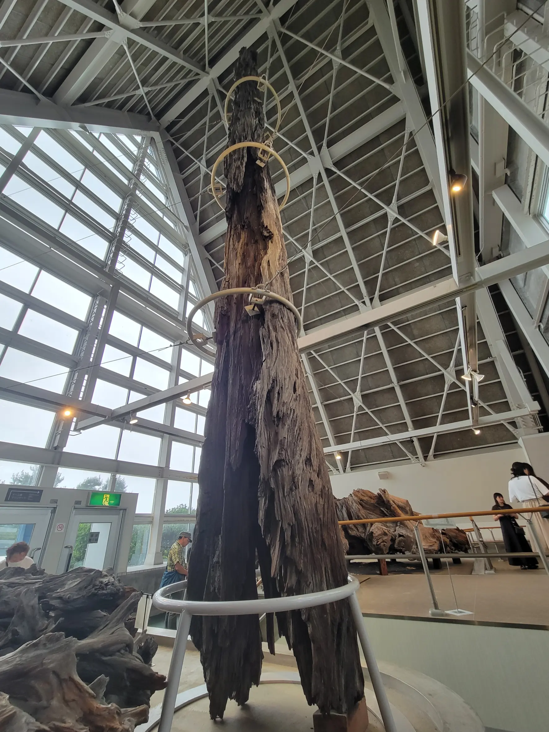 見て、触れる「乾燥展示館」！-0