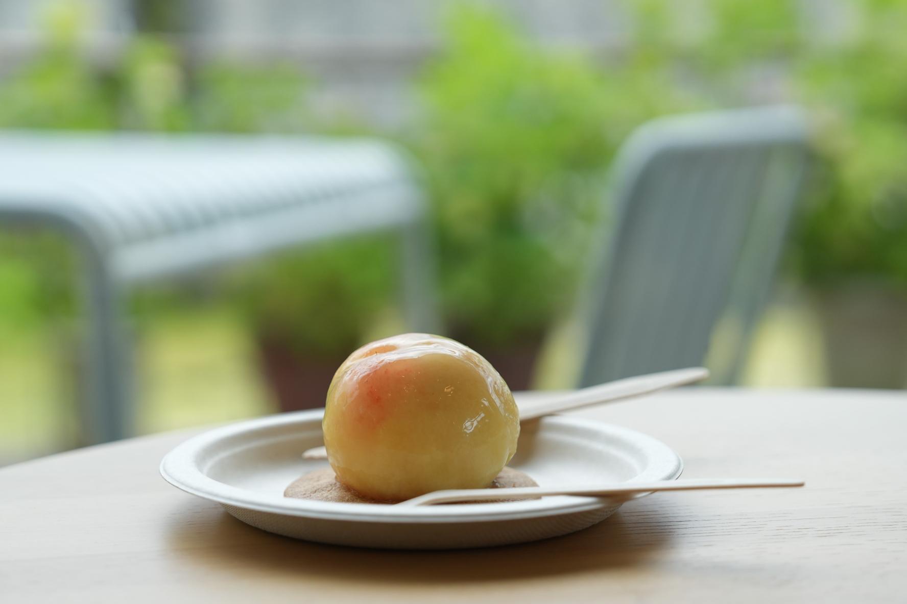 【モデルコース】雨の日でも大満喫！魚津市おすすめの1日おでかけコース！-3