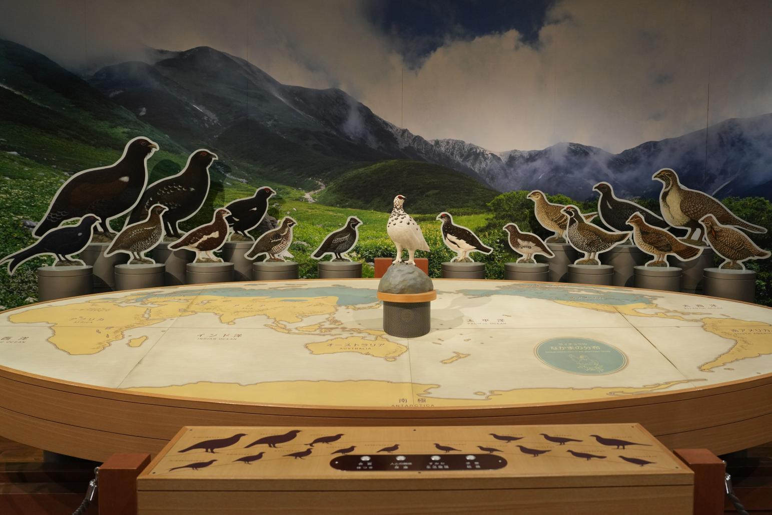 まずは、「立山自然保護センター」へ！-2