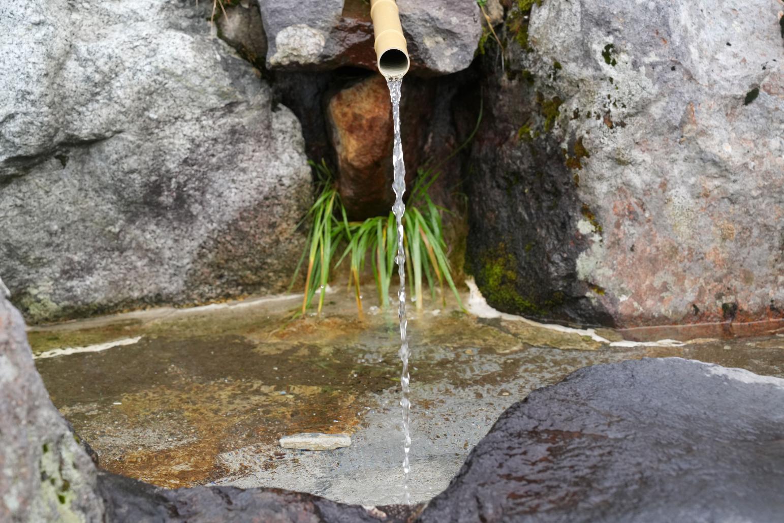 「立山玉殿の湧水」をお土産に！-1