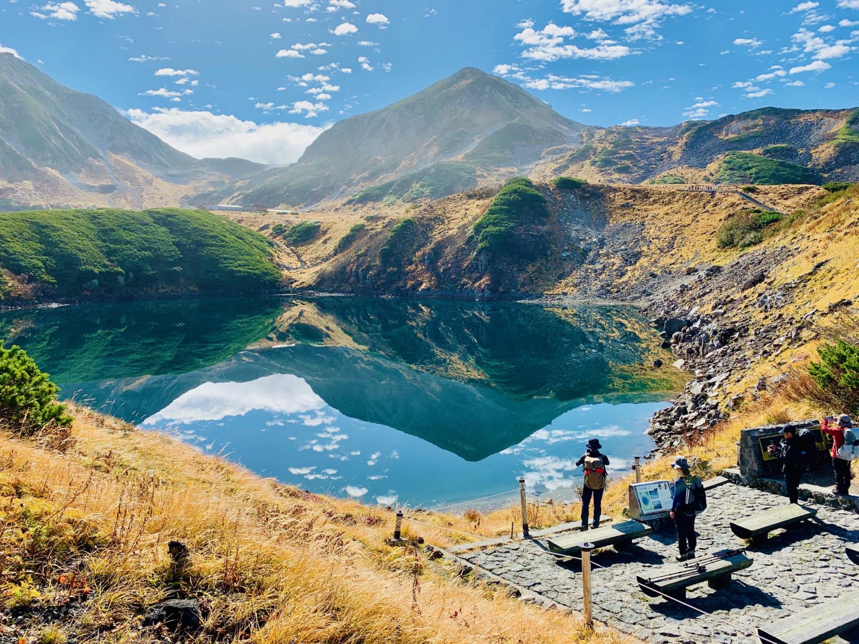 今回ご紹介したバスツアーの詳細・ご予約はこちら-0