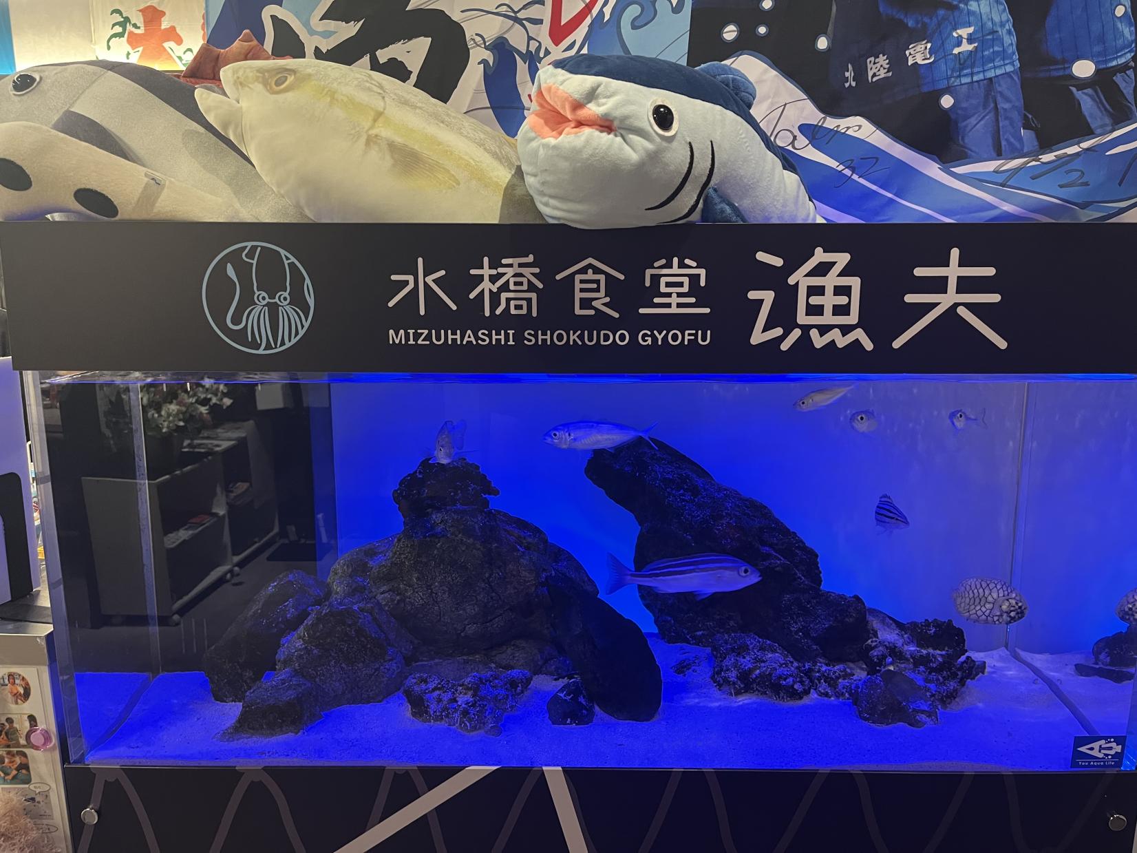 漁師が経営する「水橋食堂漁夫」で港町のメシをアテに一杯-0