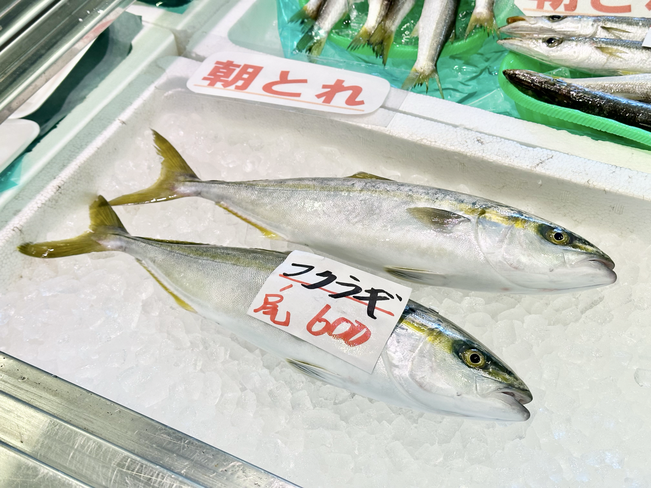 漁港直送！氷見を味わい尽くす！まずは魚！-0