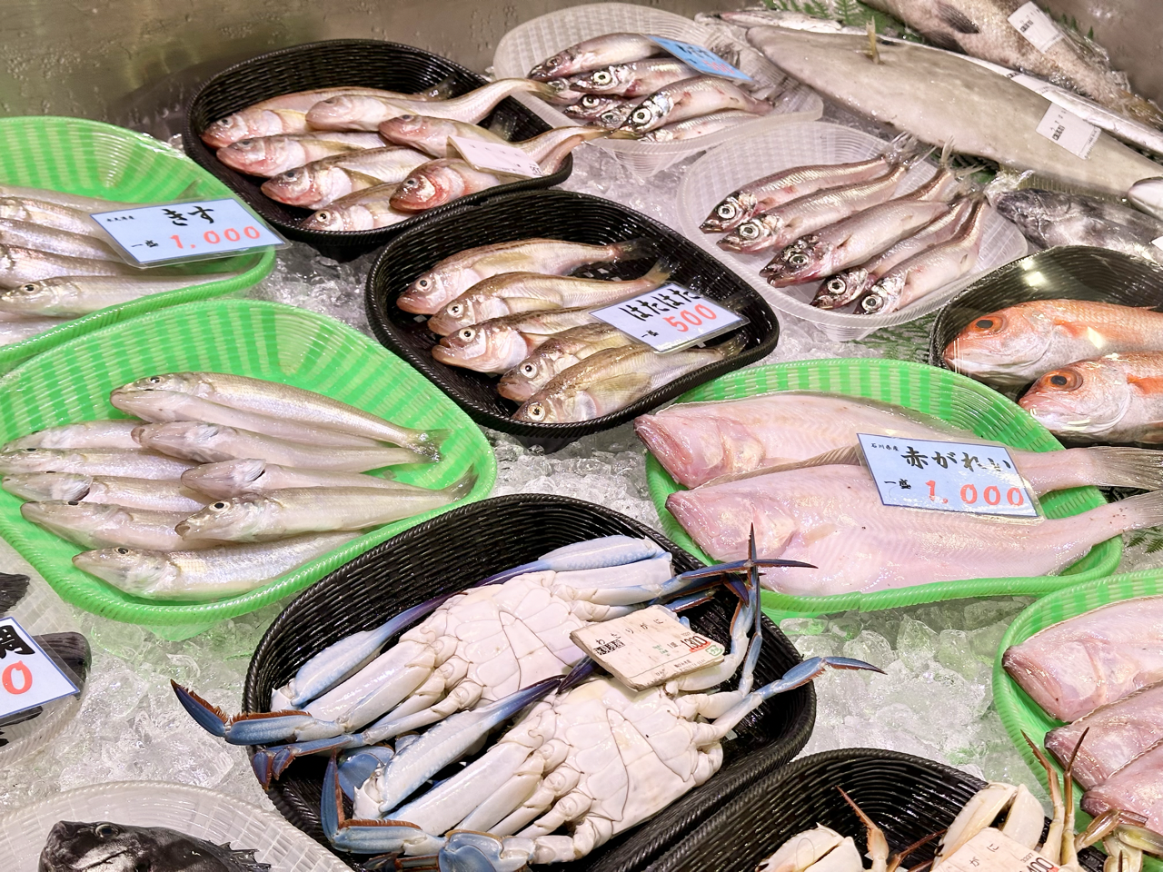 漁港直送！氷見を味わい尽くす！まずは魚！-1