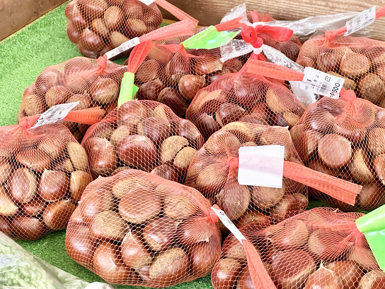 氷見の恵みは「海」だけじゃない！「牛」と「野菜」-3