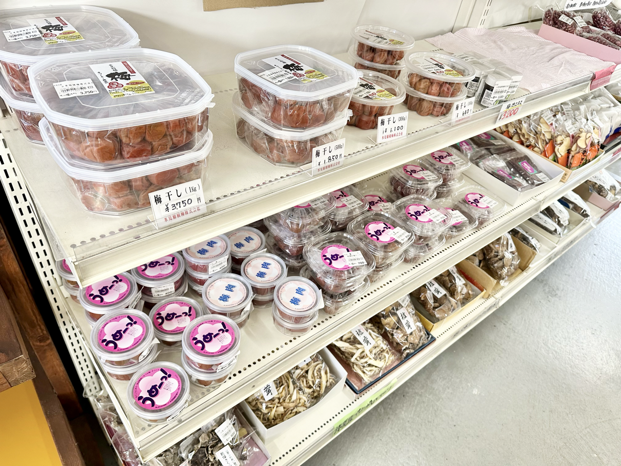 氷見の恵みは「海」だけじゃない！「牛」と「野菜」-6