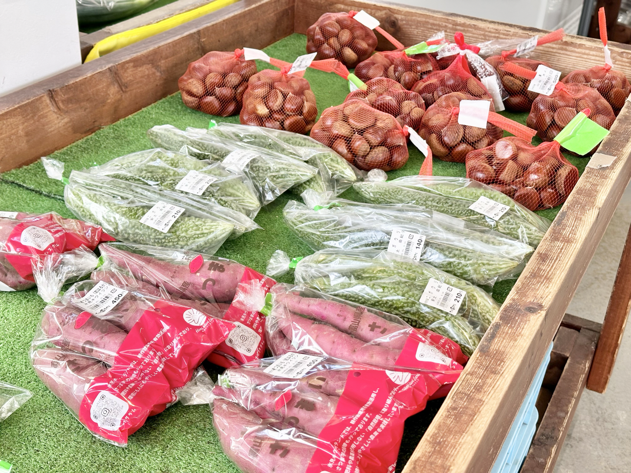 氷見の恵みは「海」だけじゃない！「牛」と「野菜」-2