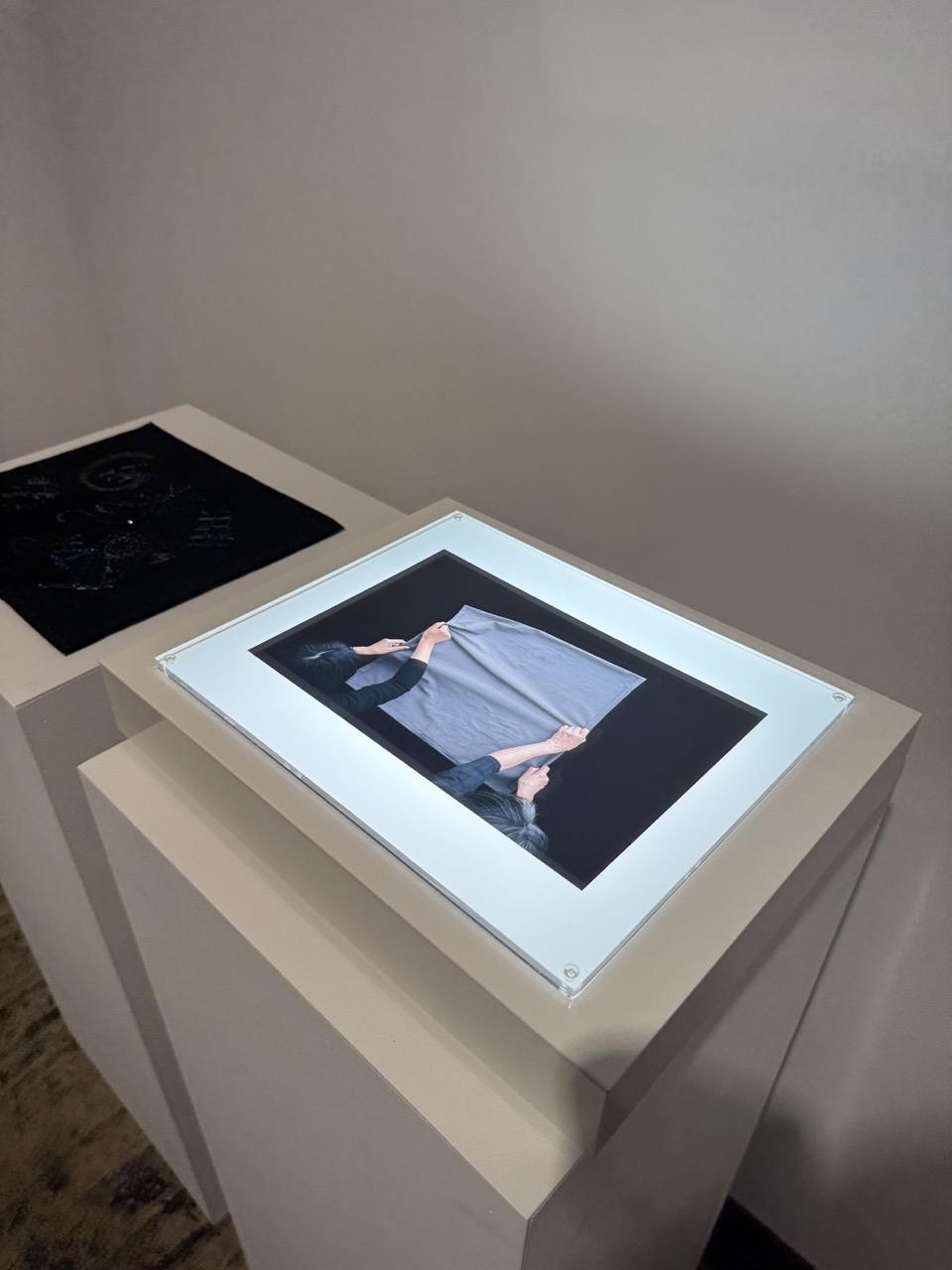 富山出身アーティスト・サエボーグに注目-5