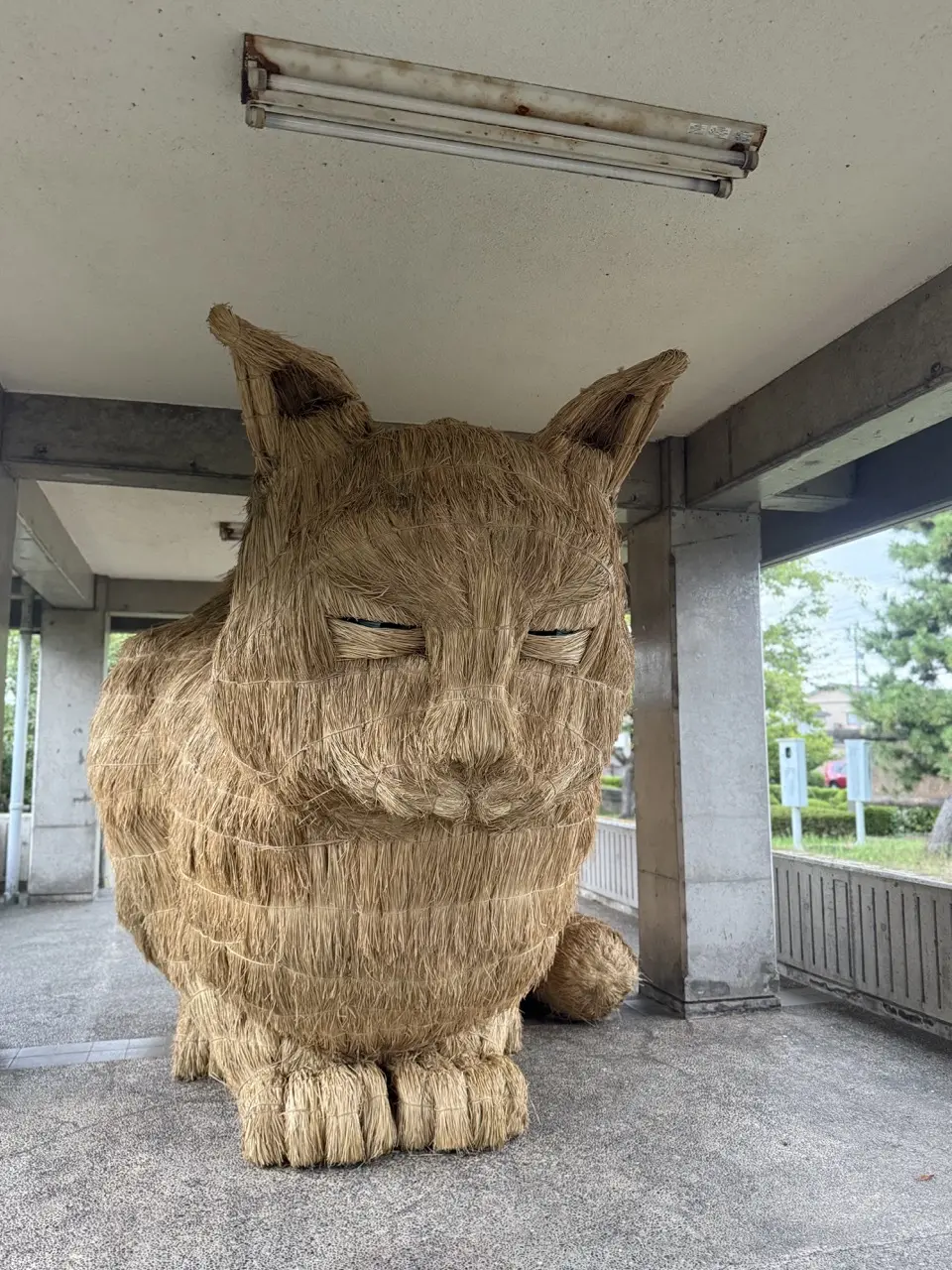 106名の共同作品「スカイネッコ」「ムウ」-3