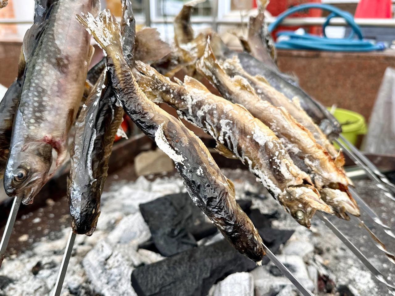 地元ならではの味覚と若さ溢れる舞-0