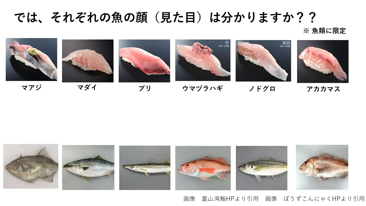”富山のさかなクン”大屋氏が水産の視点から寿司を紐解く-0