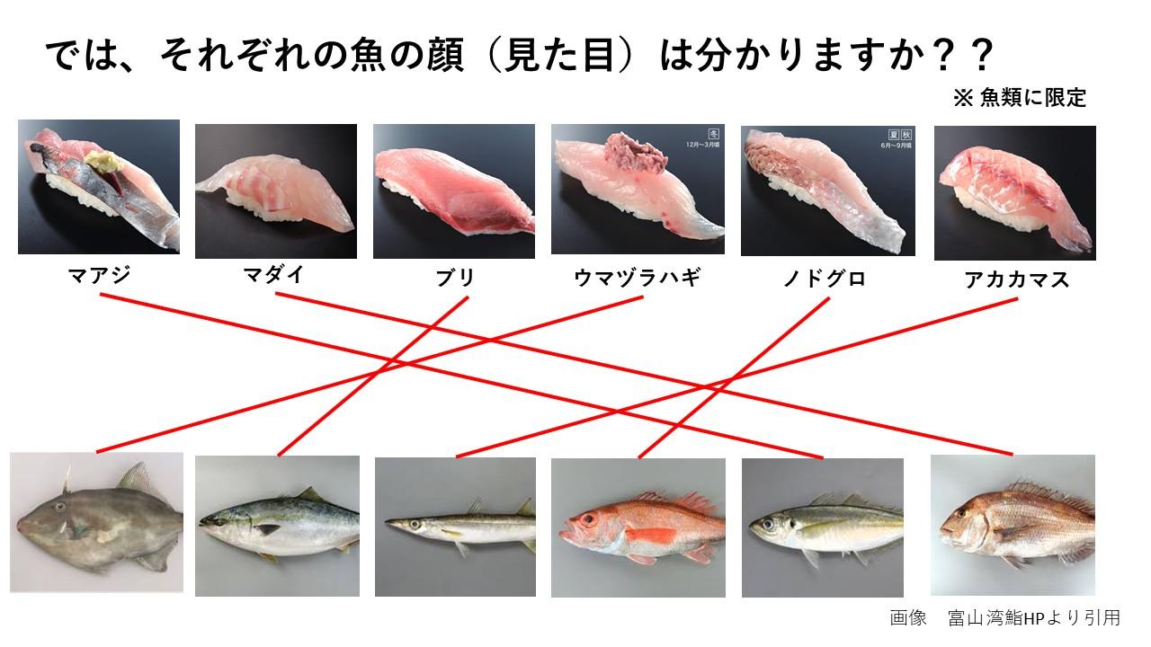 富山の魚はどこから？どうやって獲られている？-0