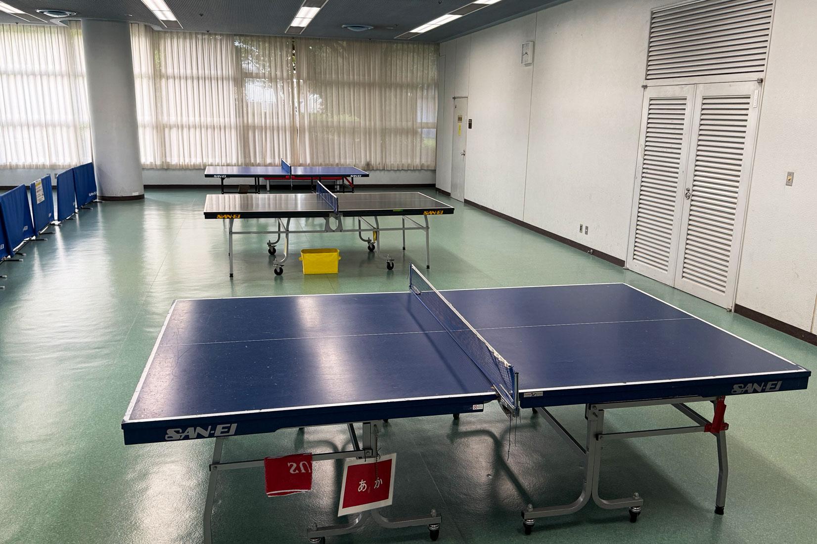 おまけ：空港のすぐ隣にある「スポーツ・健康ゾーン」-0