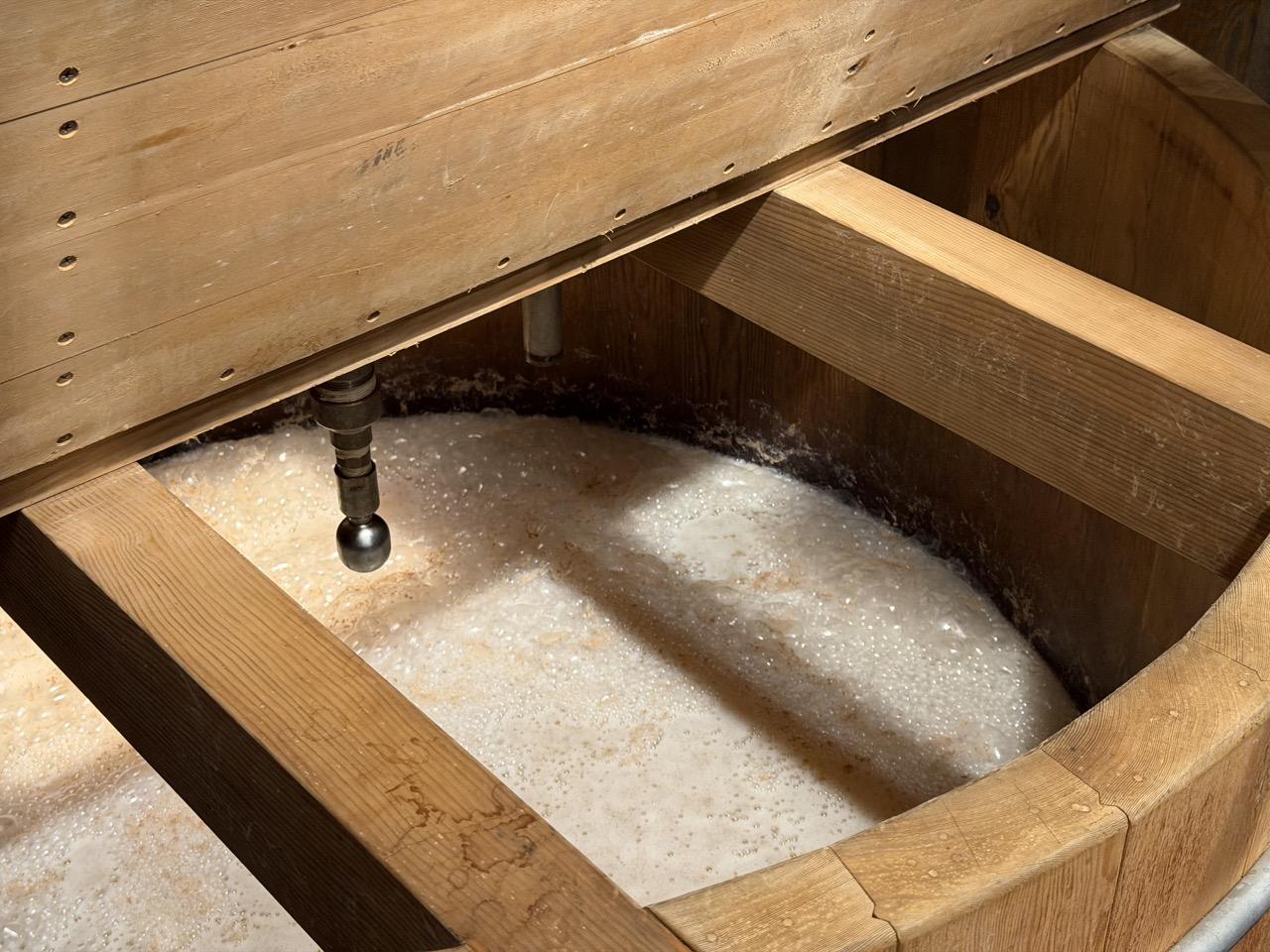 木桶発酵と乳酸菌の力-1