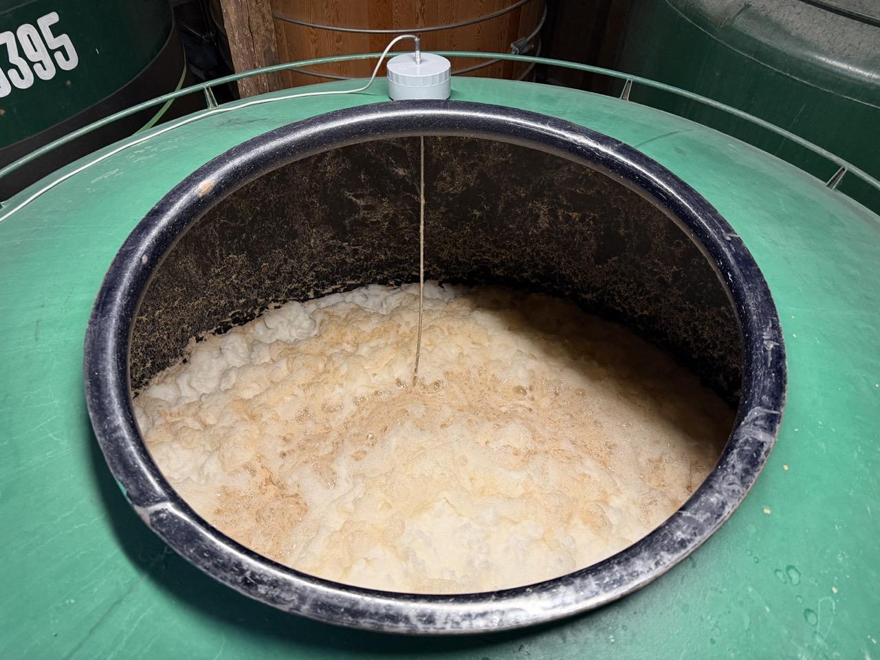 本場スコットランドの味を追う、徹底したスモーキーさ-5