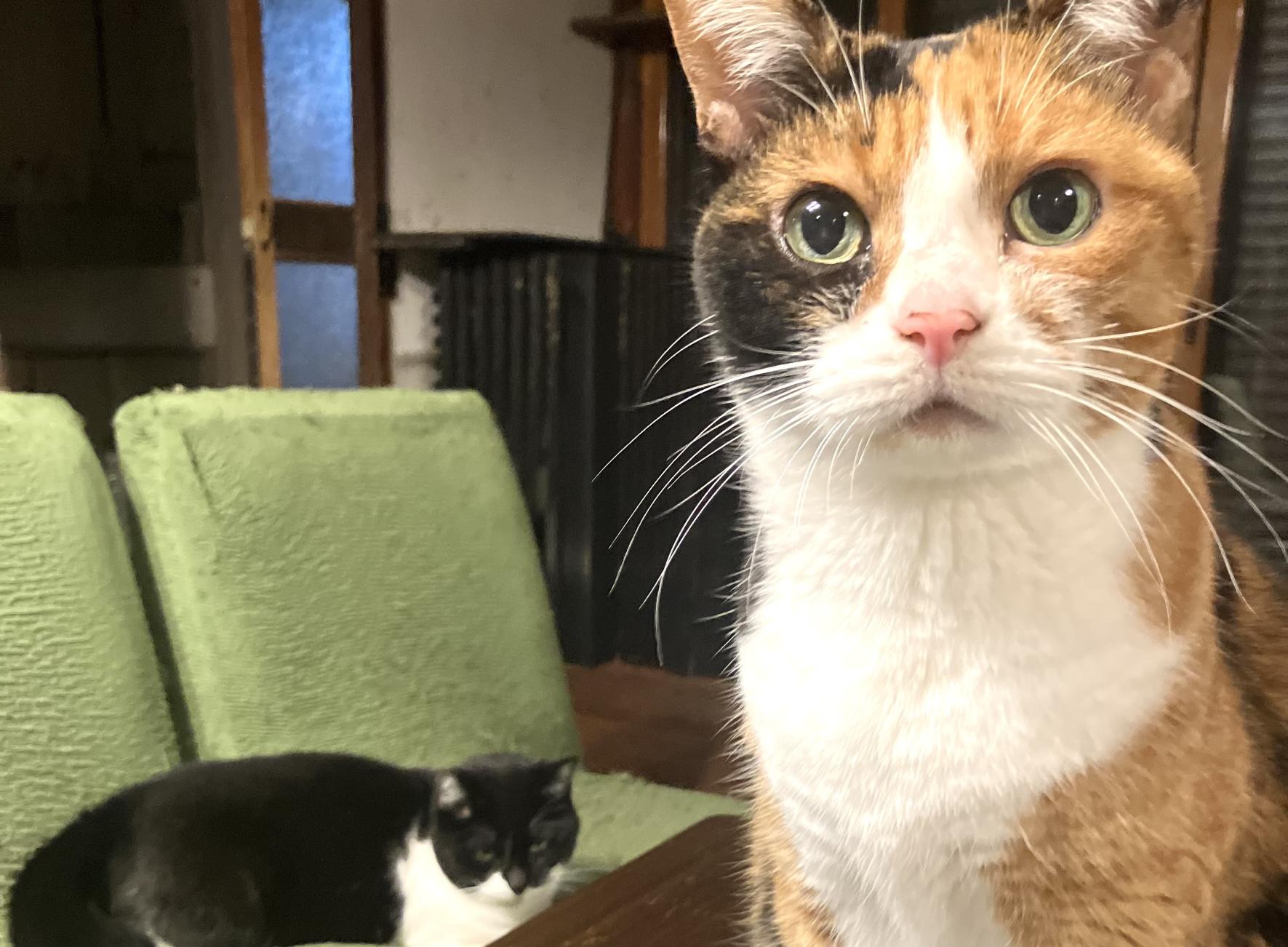 あなたの毎日に、“小さな息抜きの場所”が見つかりますように！-0