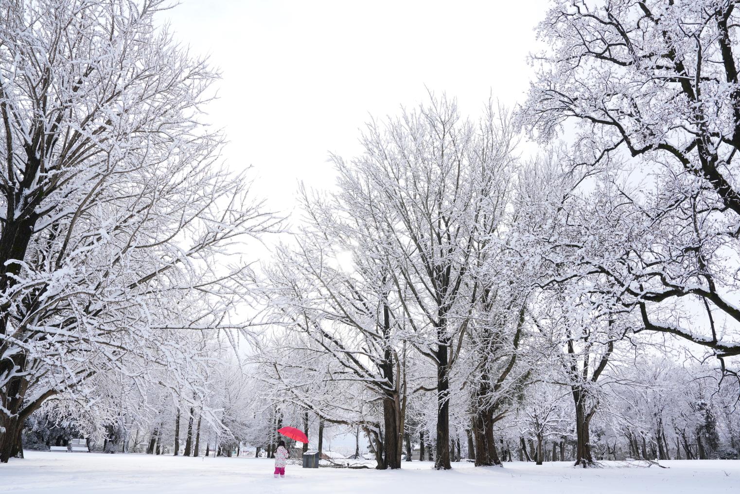 【番外編】冬もオススメの場所　「馬場記念公園」【富山地方鉄道 富山港線　富山駅~蓮町】-0