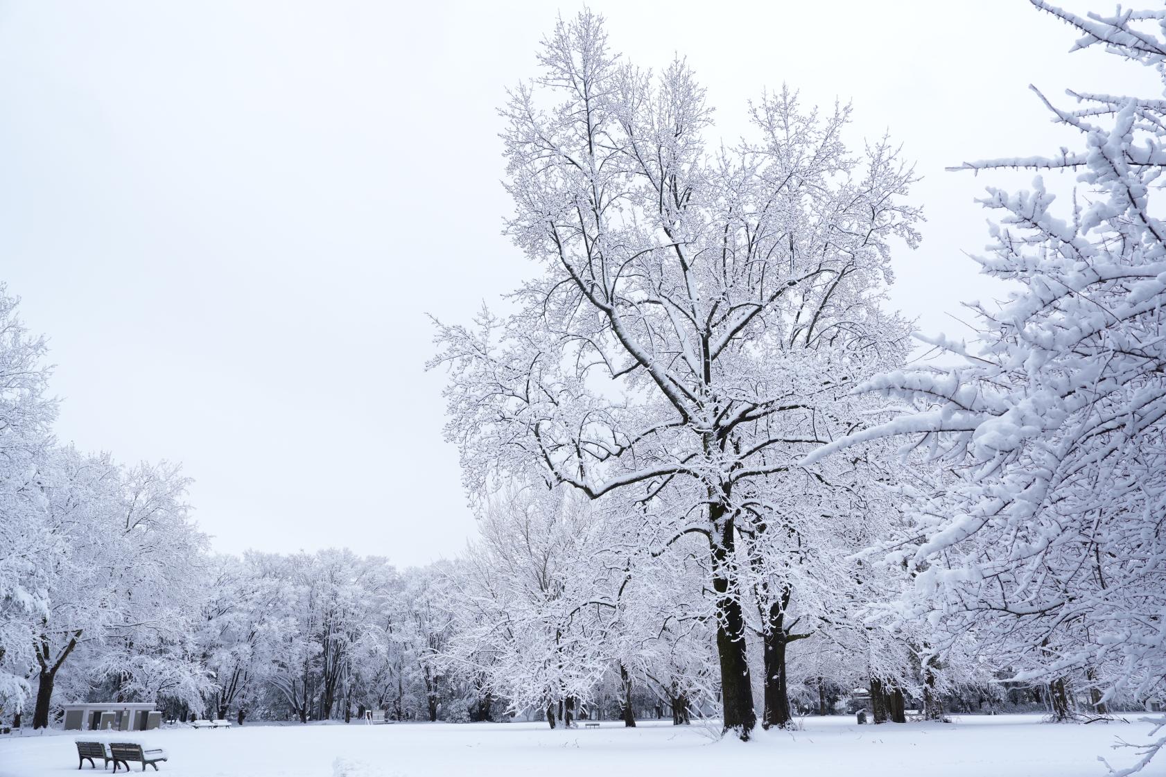 【番外編】冬もオススメの場所　「馬場記念公園」【富山地方鉄道 富山港線　富山駅~蓮町】-1