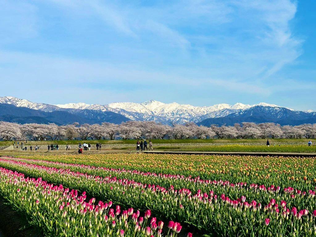 【朝日町・民泊たなごころ】牧歌的な田園風景を望む「そっと人を包む宿」-0
