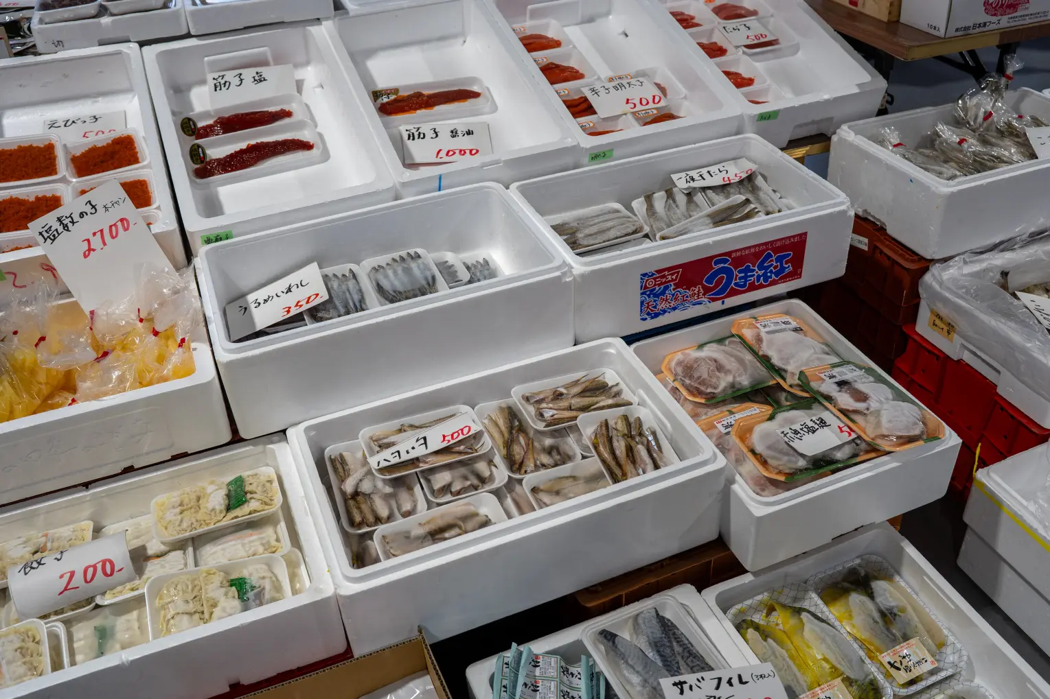 5:00に起床し、気合いを入れて「魚津の朝市」へ！-0