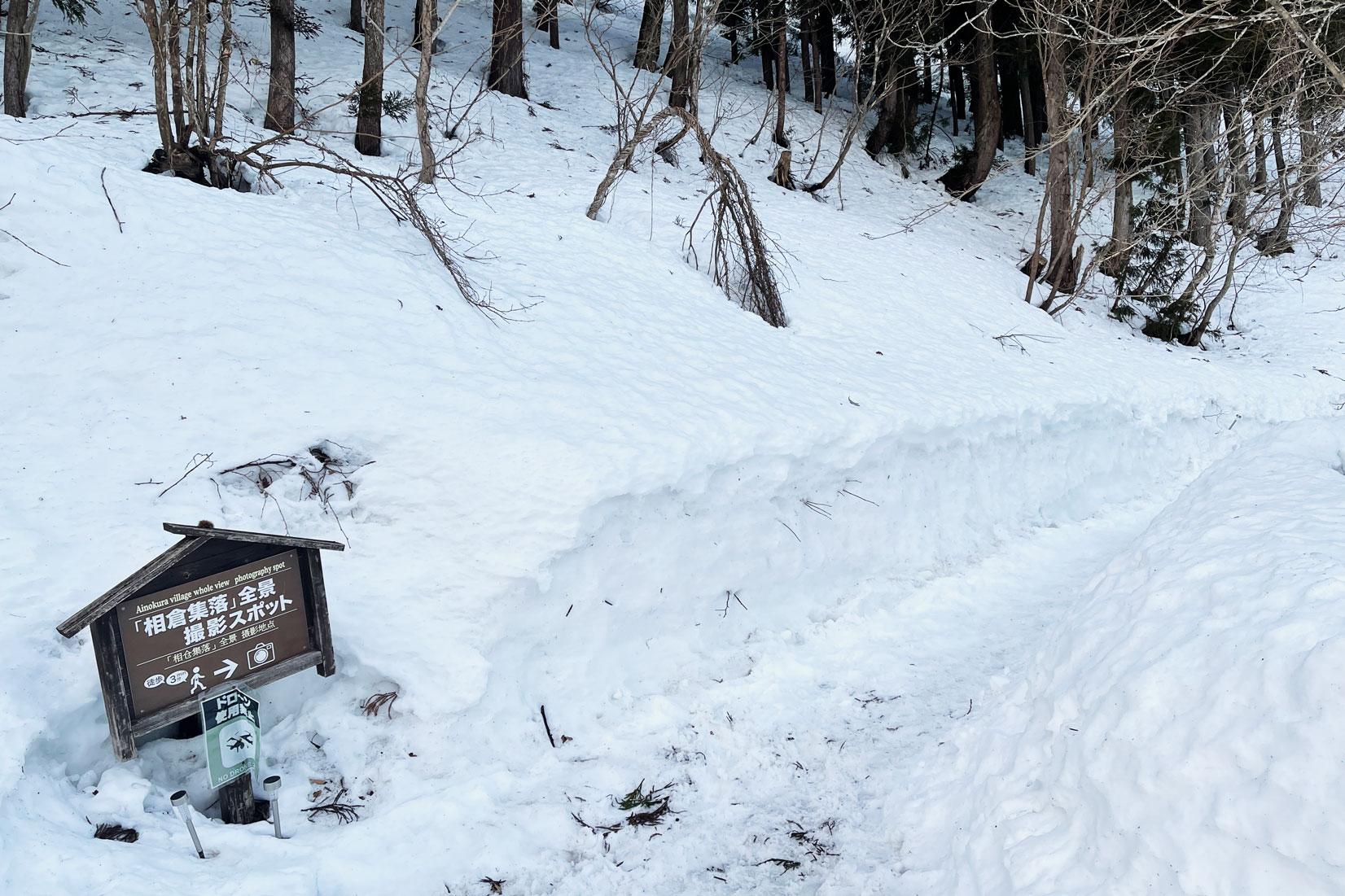 【正直レポ】展望台までの道のりが意外とキツい-0