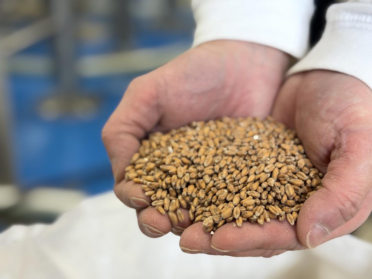 醸造家・山本悠貴さんがビールの世界へ進んだ理由-1