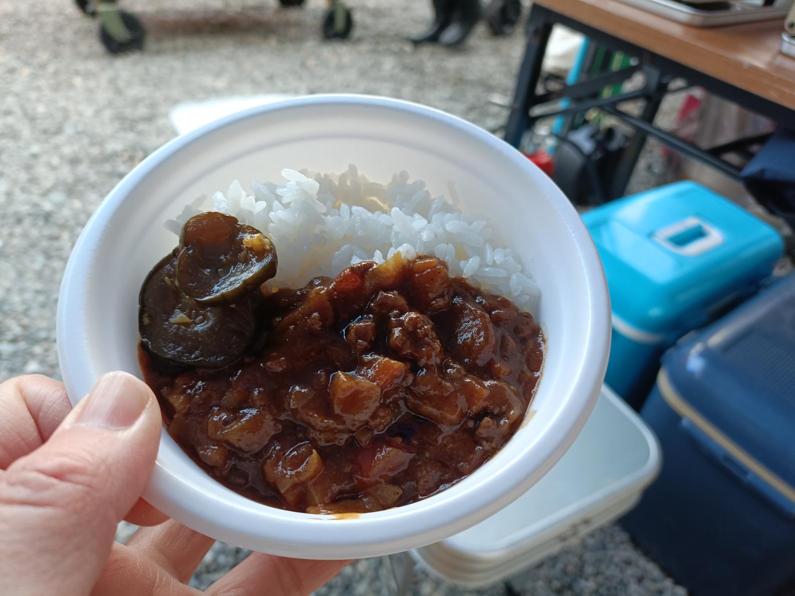 具沢山！鹿肉のジビエカレー-0