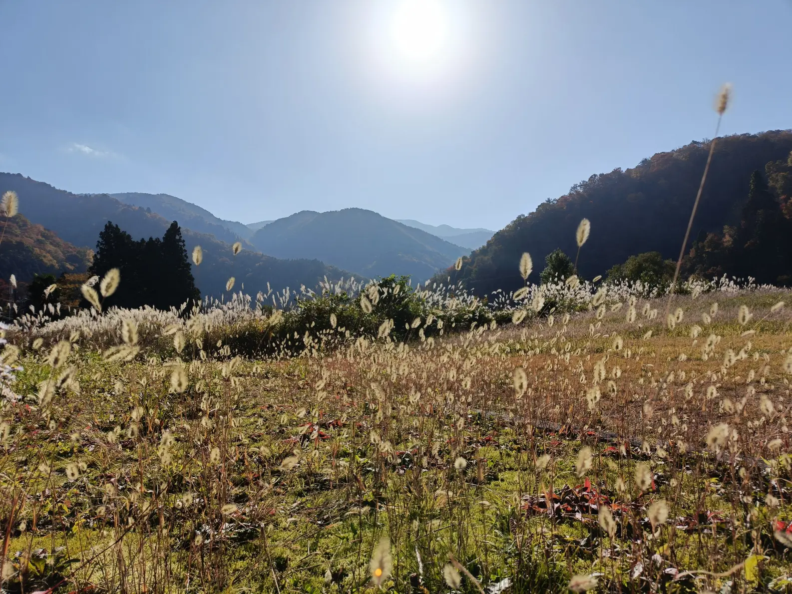 富山市の最南端「大長谷」とは-1