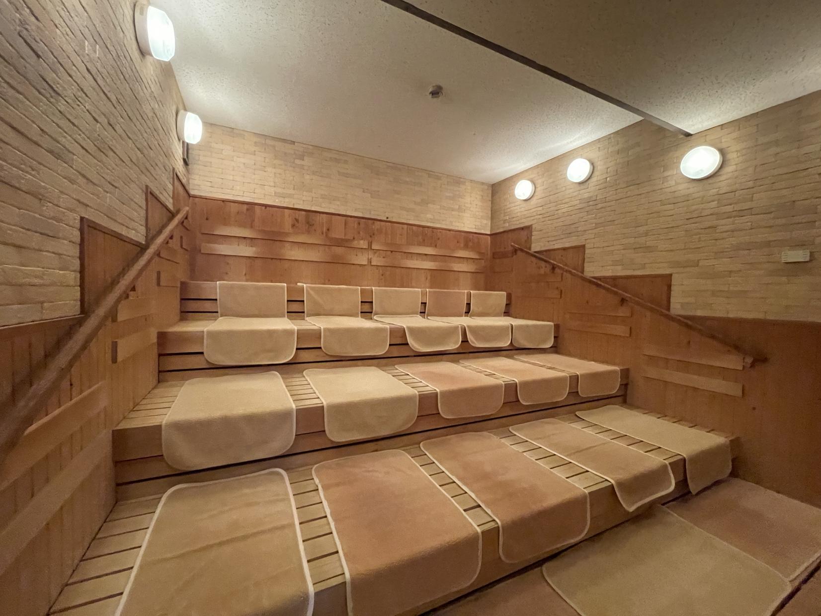 導線がナイスなドライサウナ-1