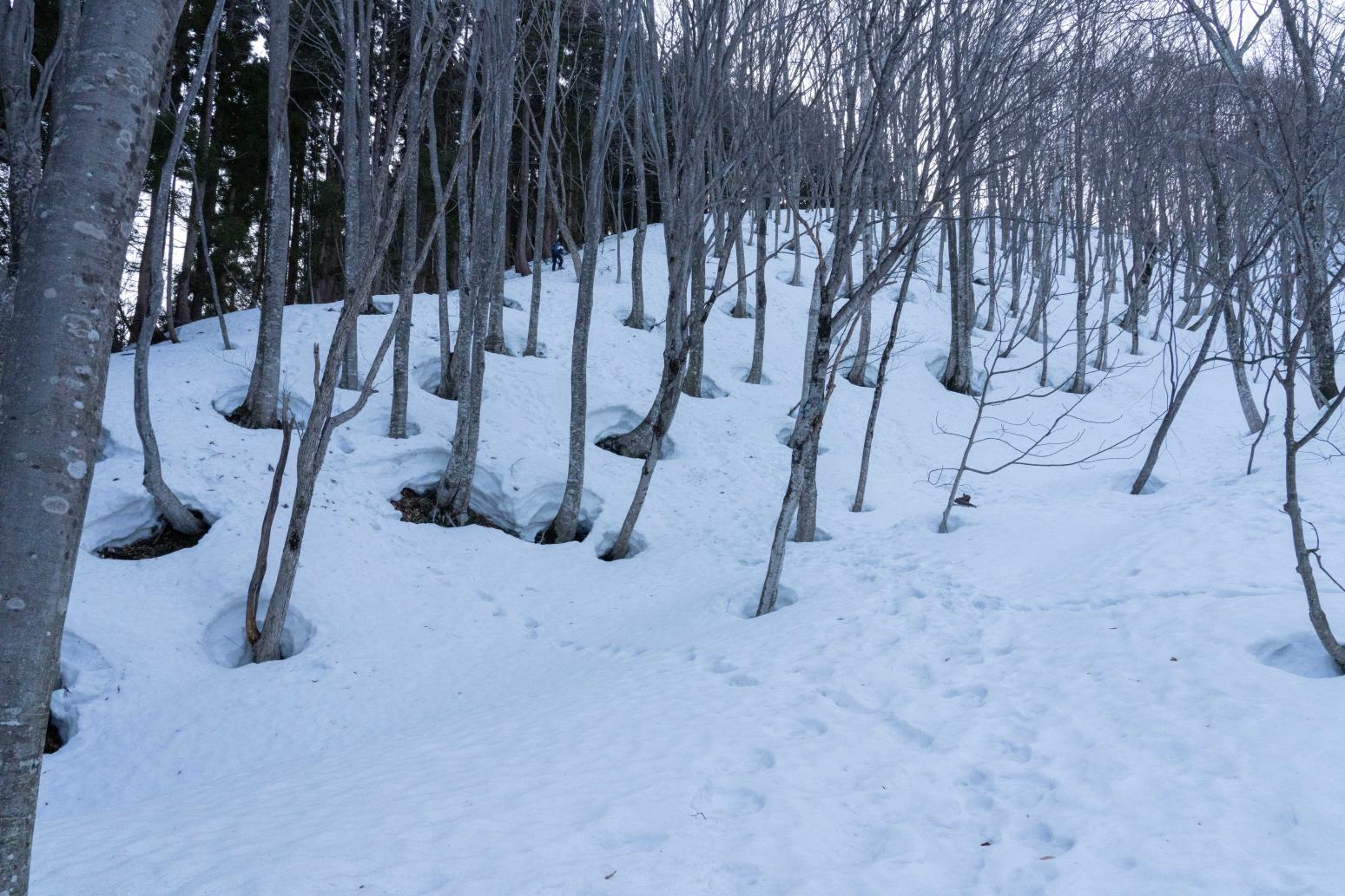 冬の金剛堂山を楽しむための「心得」-0