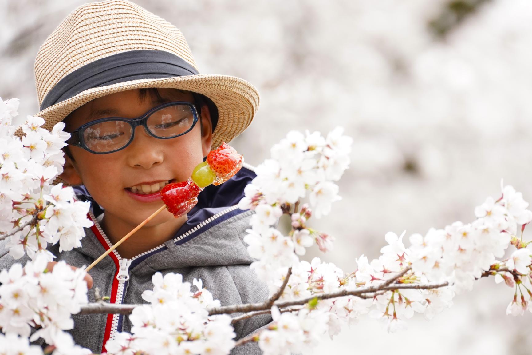散策しながら、屋台も！-1