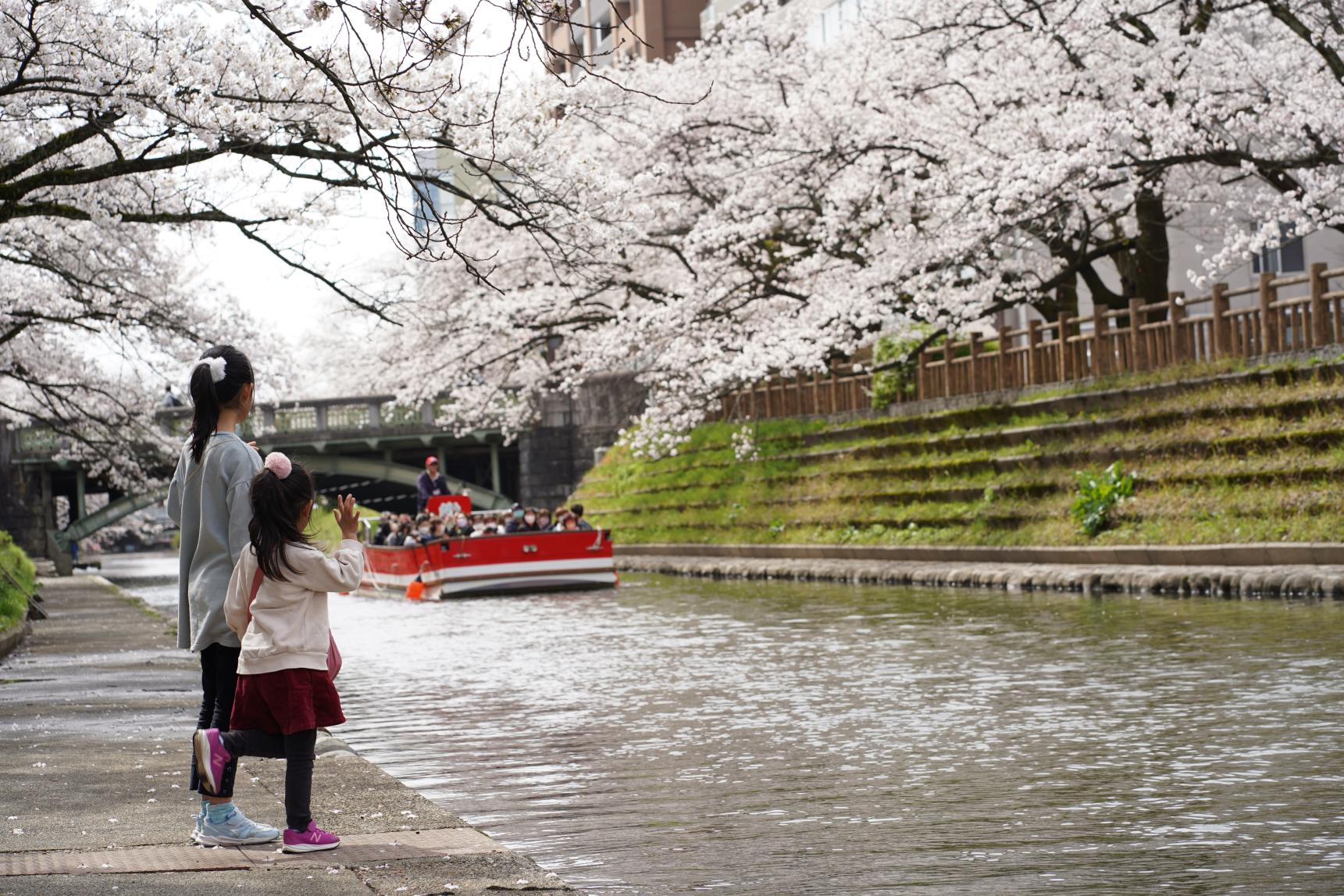 松川遊覧船もおすすめ！-0