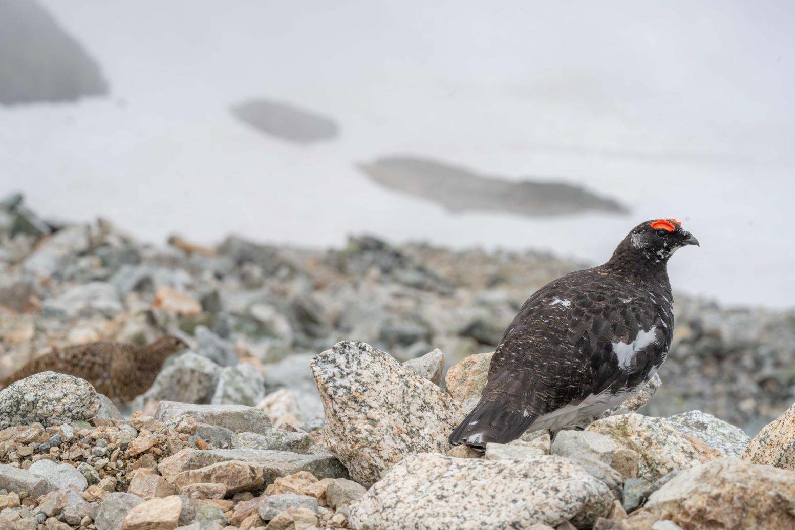山の上でも施設は充実！-0