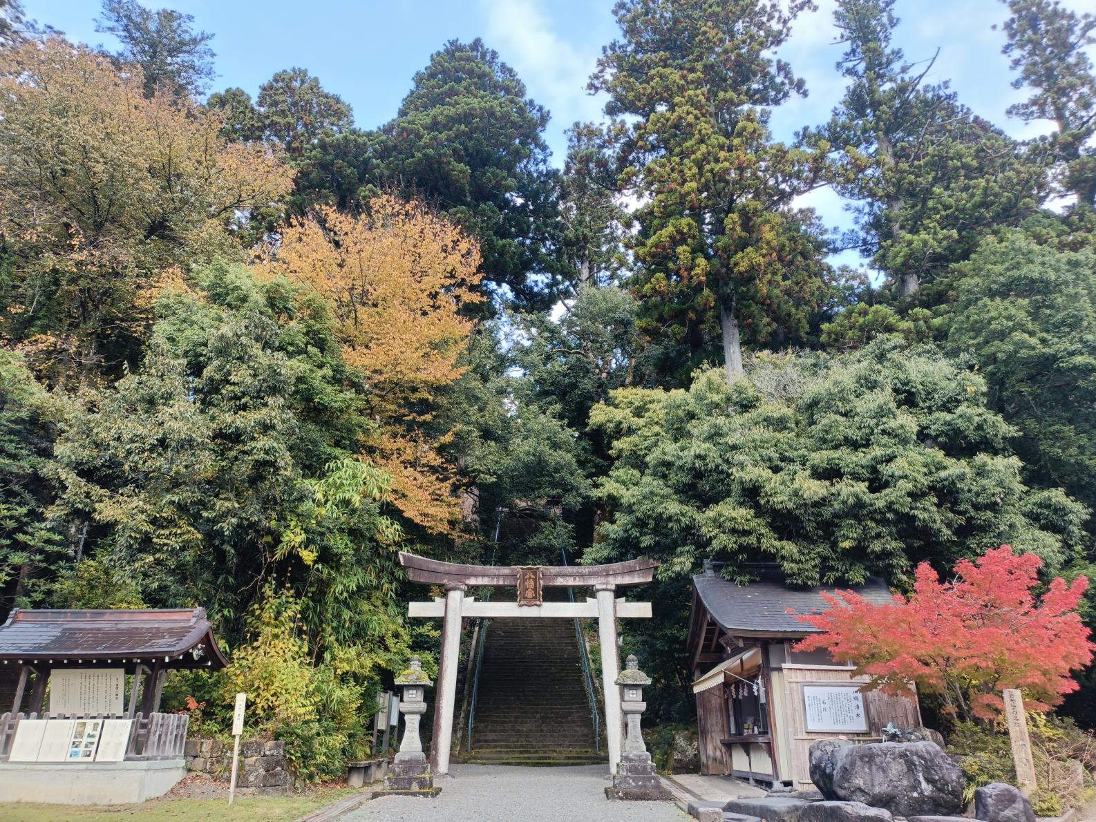 【埴生護国八幡宮】～源平合戦ゆかりの社-0