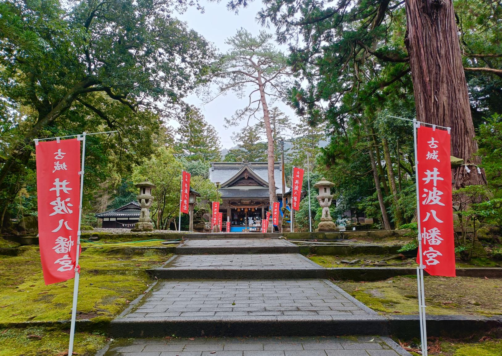 【井波八幡宮】～井波城本丸跡に建つ社-0