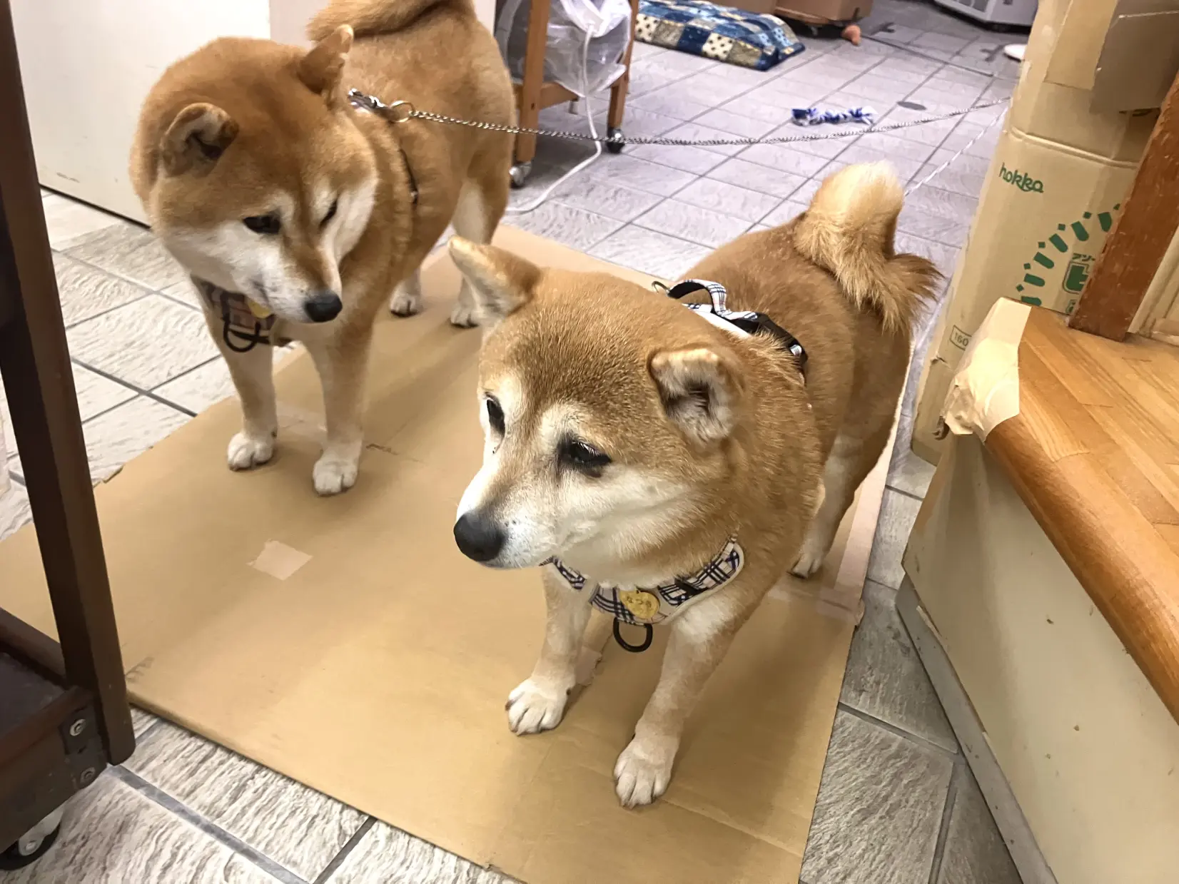 温泉街の散策も楽しみのひとつ-2