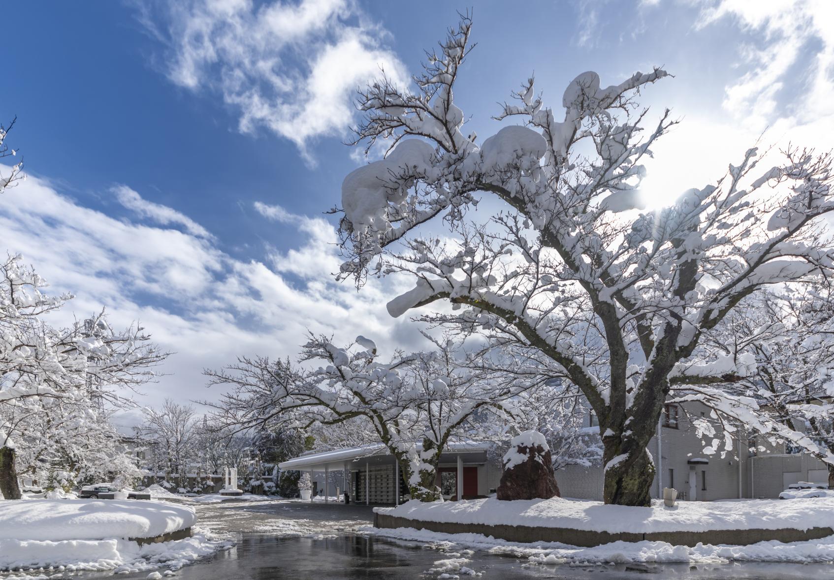 10時にチェックイン！期待に胸が高鳴ります-0